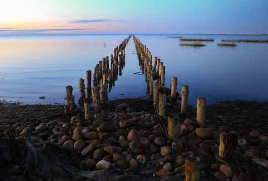 wadden sea