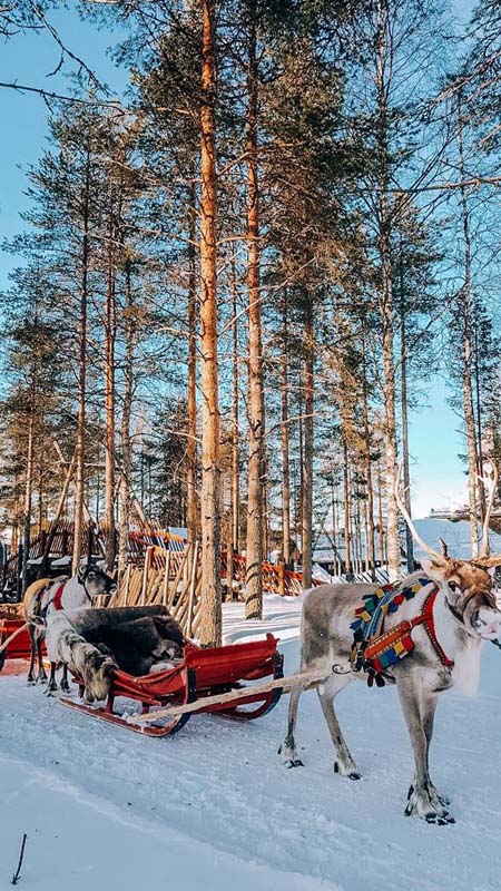 Lapland Travel