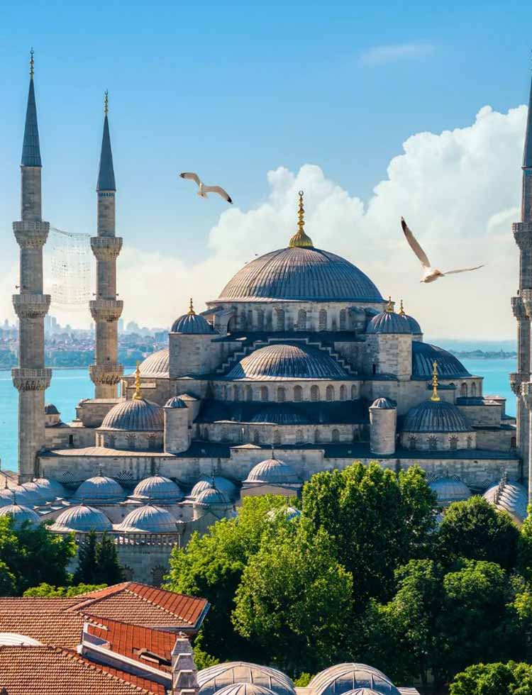 The blue mosque