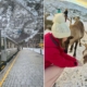 Budget trip to Norway