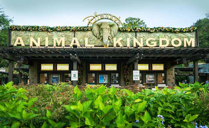 Disney world Animal Kingdom