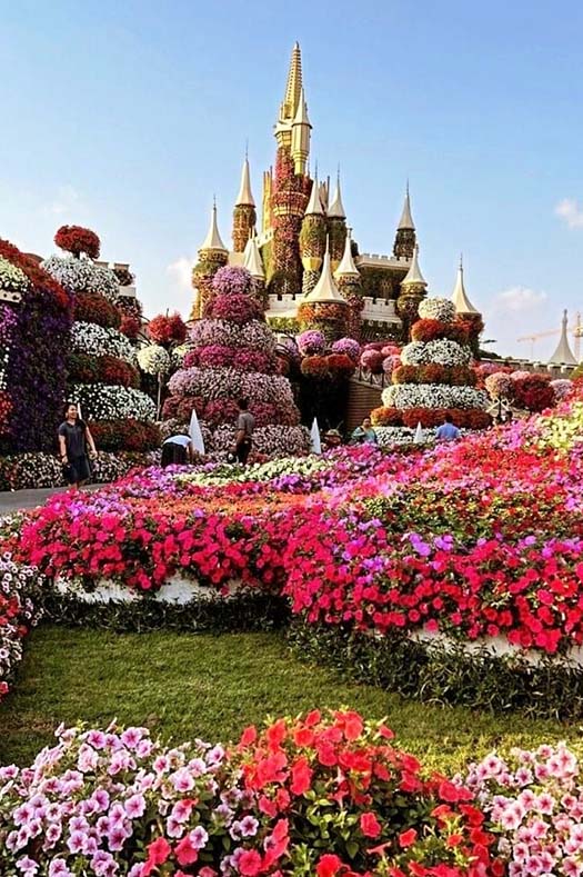 Dubai Miracle Garden