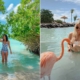 Aruba Things to Do